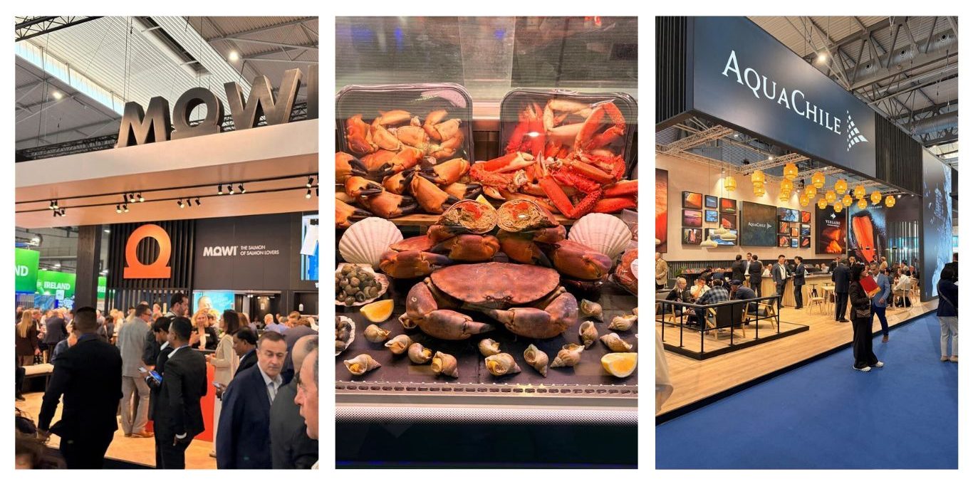 Discongel - Seafood Expo Global
